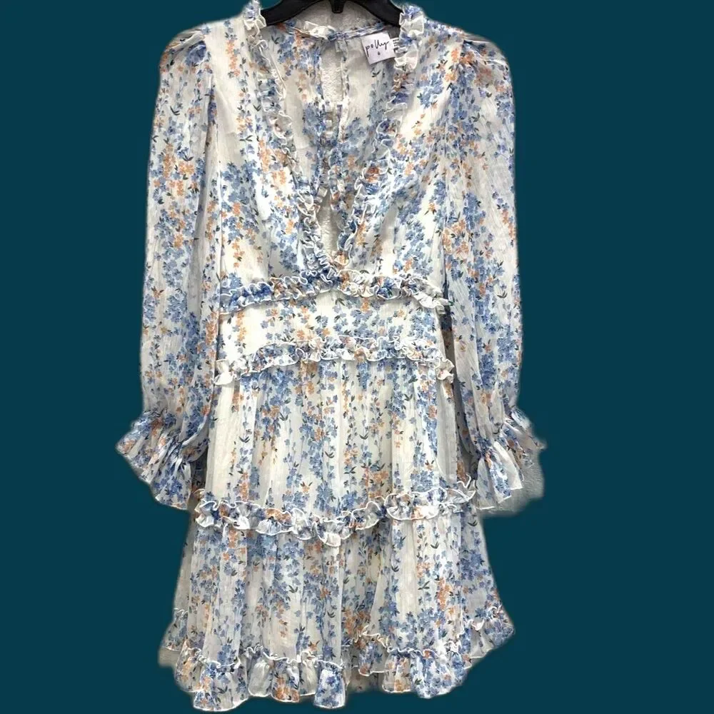 Polly  Floral Ruffle Blouson Dress Size 2